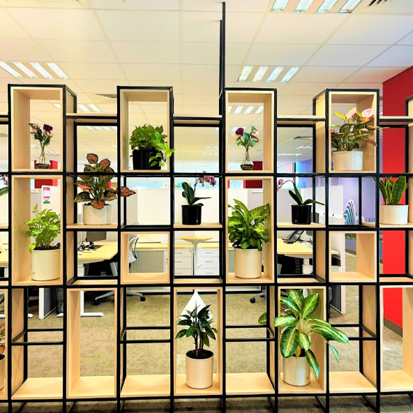 Xilink Asia Pacific